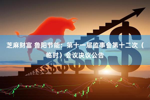 芝麻财富 鲁阳节能：第十一届监事会第十二次（临时）会议决议公告
