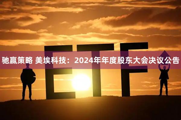 驰赢策略 美埃科技：2024年年度股东大会决议公告