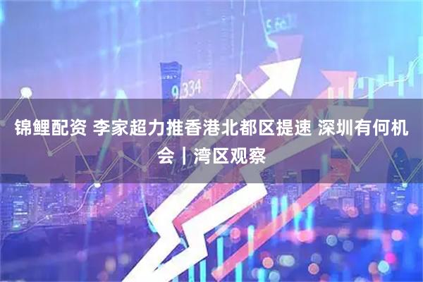 锦鲤配资 李家超力推香港北都区提速 深圳有何机会｜湾区观察